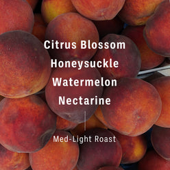 
                  
                    Flavor notes and roast level of Ethiopia Ginjo coffee beans imposed on background of nectarines. Text reads, “Citrus Blossom, Honeysuckle, Watermelon, Nectarine, Med-Light Roast” 2 of 7.
                  
                