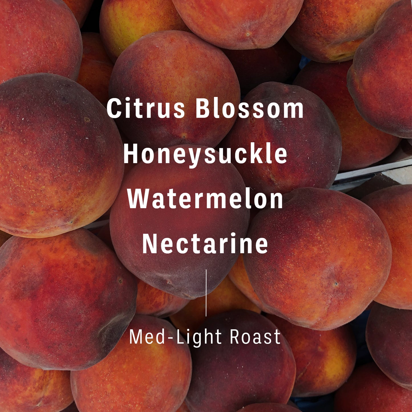 Flavor notes and roast level of Ethiopia Ginjo coffee beans imposed on background of nectarines. Text reads, “Citrus Blossom, Honeysuckle, Watermelon, Nectarine, Med-Light Roast” 2 of 4.