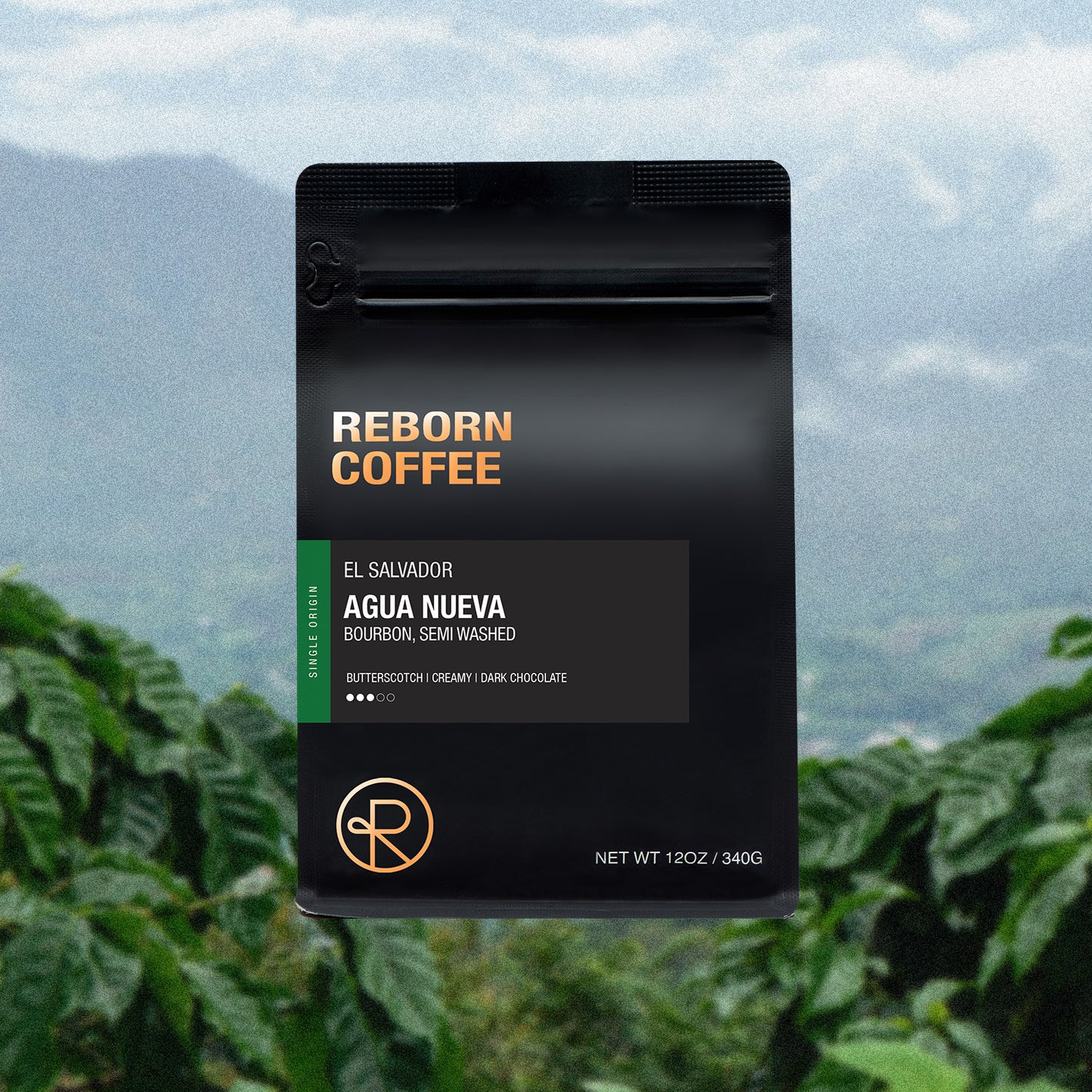 12oz bag of El Salvador, Agua Nueva single origin Reborn Coffee whole beans.