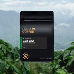 
                  
                    12oz bag of El Salvador, Agua Nueva single origin Reborn Coffee whole beans.
                  
                