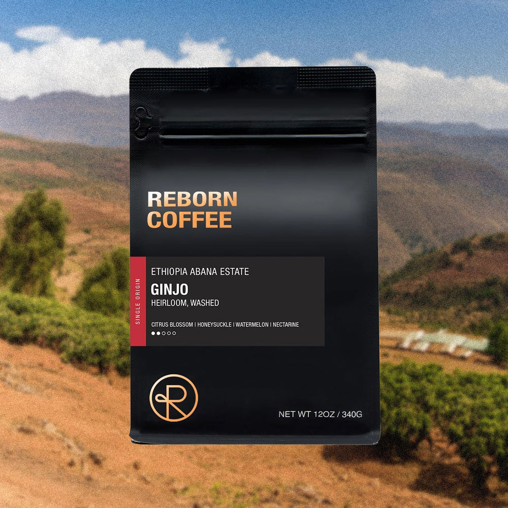 Ethiopia | Ginjo Specialty Coffee Beans – Reborn Coffee