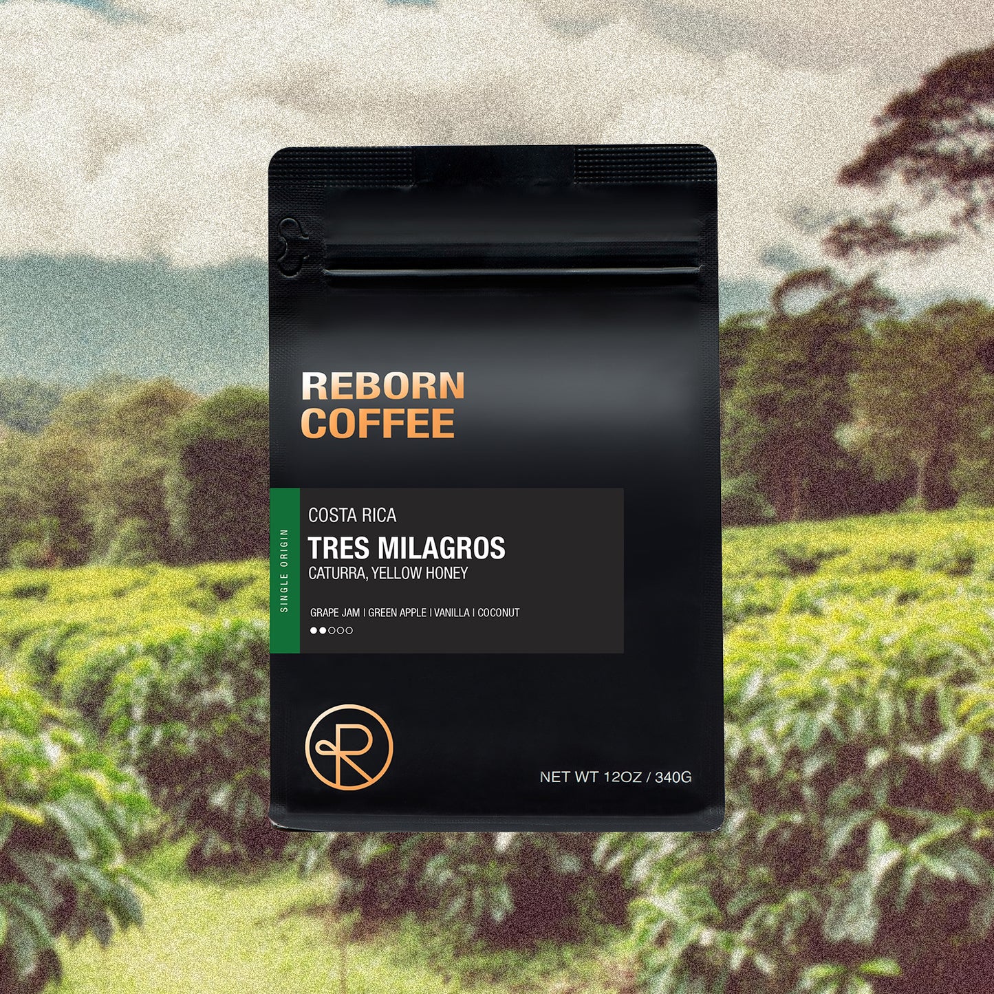 12oz bag of Costa Rica, Tres Milagros single origin Reborn Coffee whole beans.