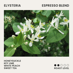 
                  
                    ELYSTERIA, ESPRESSO BLEND
                  
                