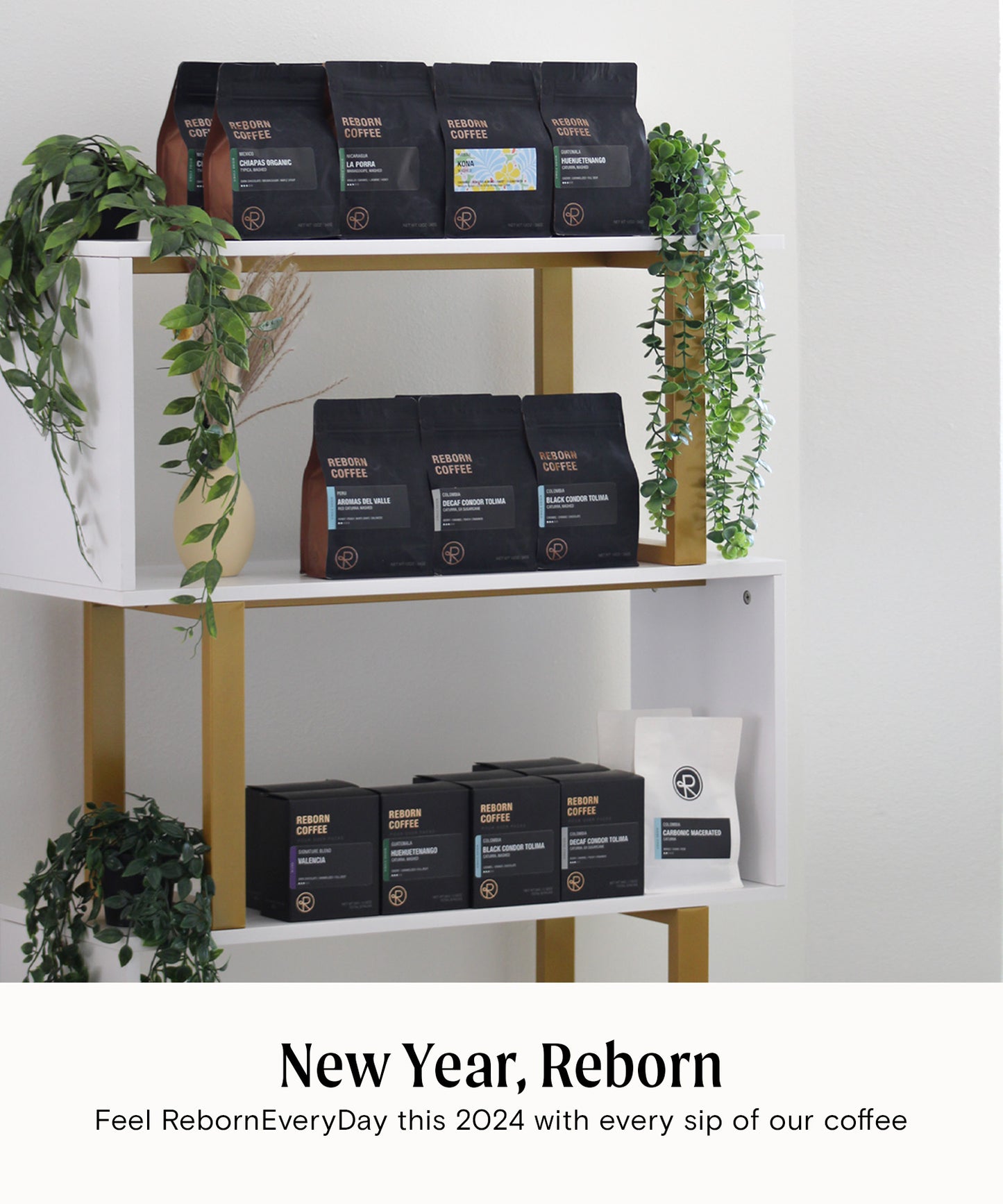 https://reborncoffee.com/cdn/shop/files/new_yr_mob_1445x.jpg?v=1704223252