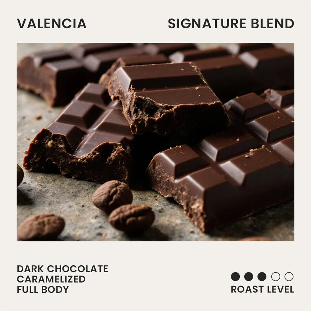 Reborn Coffee Signature Blend Valencia, Specialty Coffee Bean
