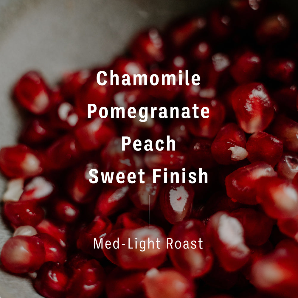 Flavor Notes of Ethiopia Sulladjah are chamomile, pomegranate, peach, with a sweet finish. 